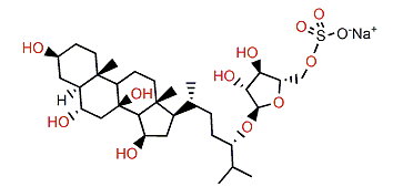 Scoparioside A